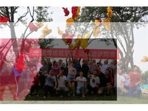 四川恒業(yè)硅業(yè)有限公司“激情成就團隊 團隊豬就夢想”拓展訓練圓滿結(jié)束！
